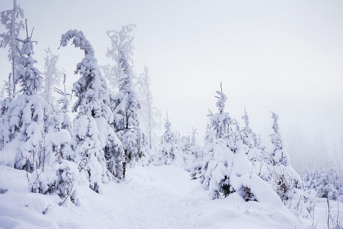 Shipping on hold for Swedish winter holiday